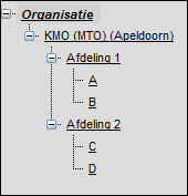 Bijlage_Individuele_Organisatiestructuur